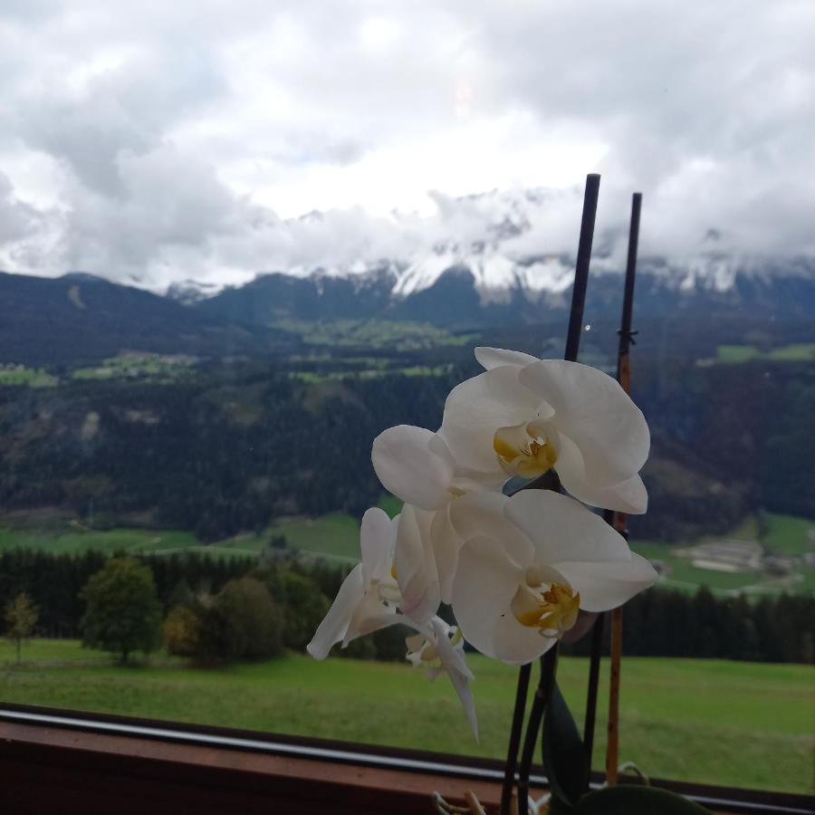 Hotel Pension Berghof Schladming Exterior foto